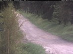 Archiv Foto Webcam Hotel Kranichsee 11:00