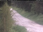 Archived image Webcam Hotel Kranichsee Weitersglashütte 09:00
