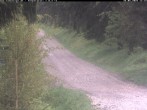 Archived image Webcam Hotel Kranichsee Weitersglashütte 11:00