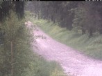 Archiv Foto Webcam Hotel Kranichsee 06:00