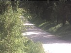 Archiv Foto Webcam Hotel Kranichsee 13:00