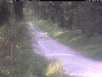 Archiv Foto Webcam Hotel Kranichsee 06:00