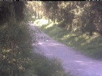 Archiv Foto Webcam Hotel Kranichsee 07:00
