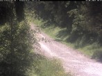 Archiv Foto Webcam Hotel Kranichsee 09:00