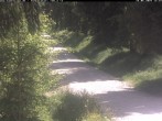 Archiv Foto Webcam Hotel Kranichsee 11:00