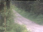 Archiv Foto Webcam Hotel Kranichsee 15:00
