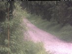 Archiv Foto Webcam Hotel Kranichsee 17:00