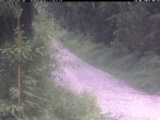 Archiv Foto Webcam Hotel Kranichsee 07:00