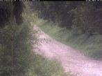 Archiv Foto Webcam Hotel Kranichsee 09:00