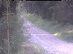 Archiv Foto Webcam Hotel Kranichsee 05:00