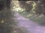 Archiv Foto Webcam Hotel Kranichsee 07:00