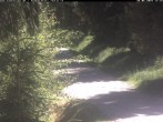 Archiv Foto Webcam Hotel Kranichsee 11:00