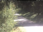 Archiv Foto Webcam Hotel Kranichsee 13:00