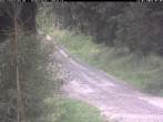 Archiv Foto Webcam Hotel Kranichsee 06:00