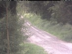 Archiv Foto Webcam Hotel Kranichsee 07:00
