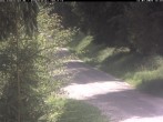 Archiv Foto Webcam Hotel Kranichsee 11:00