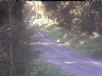 Archiv Foto Webcam Hotel Kranichsee 07:00