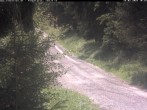 Archiv Foto Webcam Hotel Kranichsee 09:00