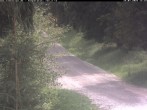 Archiv Foto Webcam Hotel Kranichsee 11:00