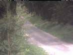 Archiv Foto Webcam Hotel Kranichsee 13:00