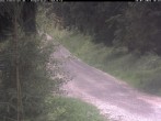 Archiv Foto Webcam Hotel Kranichsee 17:00
