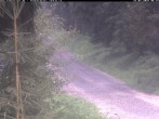Archiv Foto Webcam Hotel Kranichsee 05:00