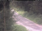 Archiv Foto Webcam Hotel Kranichsee 09:00
