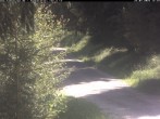 Archiv Foto Webcam Hotel Kranichsee 11:00