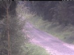 Archiv Foto Webcam Hotel Kranichsee 05:00