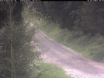 Archiv Foto Webcam Hotel Kranichsee 09:00