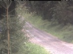 Archiv Foto Webcam Hotel Kranichsee 13:00