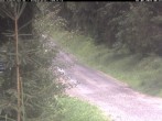 Archiv Foto Webcam Hotel Kranichsee 07:00