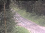 Archiv Foto Webcam Hotel Kranichsee 09:00