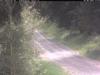 Archiv Foto Webcam Hotel Kranichsee 11:00