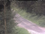 Archiv Foto Webcam Hotel Kranichsee 13:00