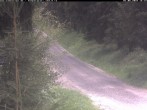 Archiv Foto Webcam Hotel Kranichsee 15:00