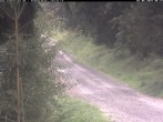 Archiv Foto Webcam Hotel Kranichsee 07:00