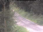 Archiv Foto Webcam Hotel Kranichsee 09:00