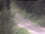 Archiv Foto Webcam Hotel Kranichsee 11:00