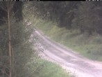 Archiv Foto Webcam Hotel Kranichsee 07:00