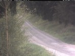Archiv Foto Webcam Hotel Kranichsee 11:00