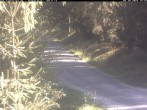 Archiv Foto Webcam Hotel Kranichsee 13:00