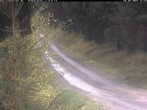 Archiv Foto Webcam Hotel Kranichsee 11:00