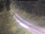 Archiv Foto Webcam Hotel Kranichsee 13:00