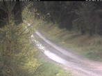 Archiv Foto Webcam Hotel Kranichsee 15:00