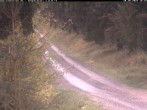 Archiv Foto Webcam Hotel Kranichsee 17:00
