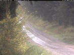 Archiv Foto Webcam Hotel Kranichsee 09:00
