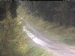 Archiv Foto Webcam Hotel Kranichsee 11:00