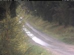 Archiv Foto Webcam Hotel Kranichsee 13:00