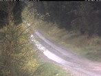 Archiv Foto Webcam Hotel Kranichsee 15:00